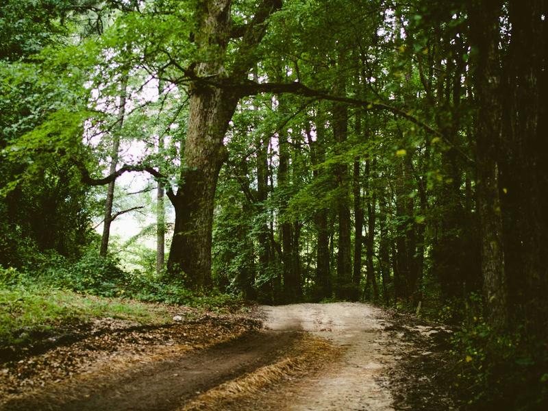 sudoku local leaderboard screenshot 6